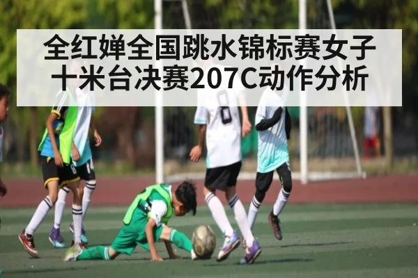 全红婵全国跳水锦标赛女子十米台决赛207C动作分析